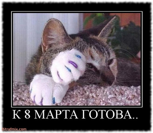 мем готова к 8 марта